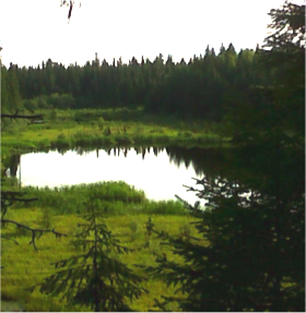 Reflection Lake in Prince George