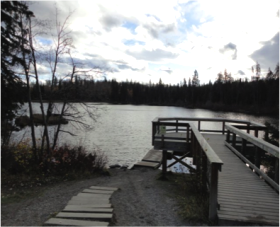 Shane Lake in Forests for the World