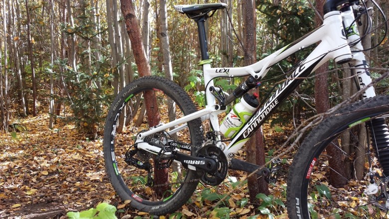 Bike resting against trees