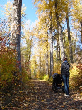 Cottonwood Island Park trails