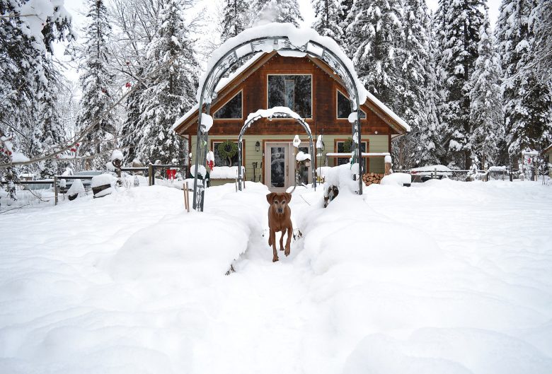 Snow covered house