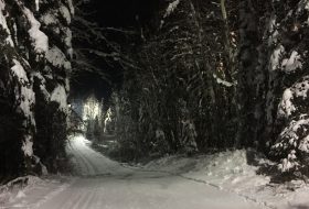 Cross country ski trail at Otway