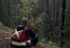 Paul working in the forest