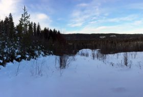 Otway Nordic Ski Centre in winter