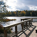 Forests for the World, Prince George, BC