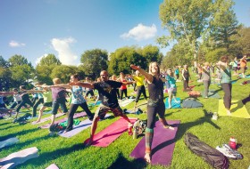 Yoga in the Park