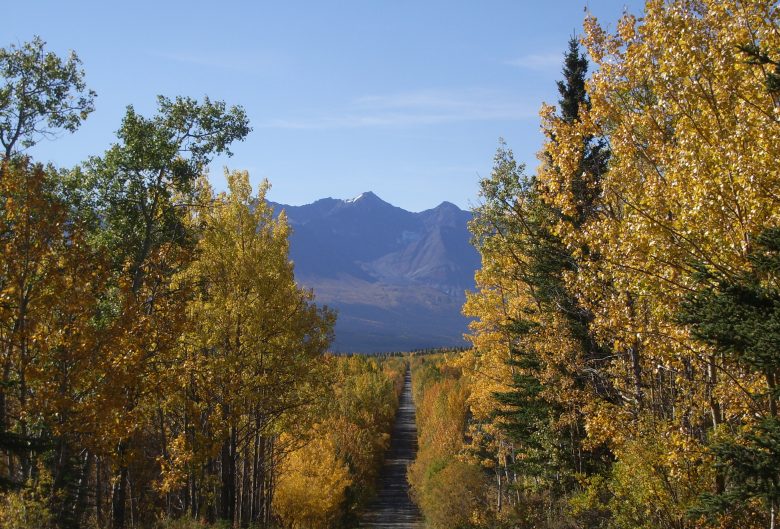 Forest Service Road