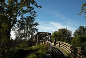 Cottonwood Island Park