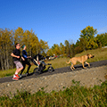 Ginter’s Meadow, Prince George, BC