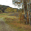 Moore’s Meadow Park, Prince George, BC