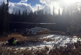 Forestry workers picked up by a helicopter in the woods.