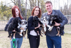 Joe with SPCA staff and five dogs