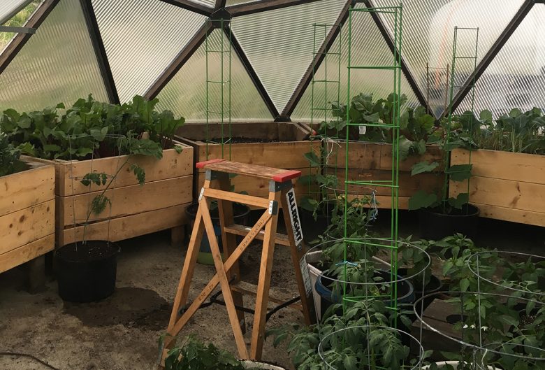 dome-greenhouse-unbc