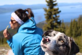 Hiking Mount Pope with my dog