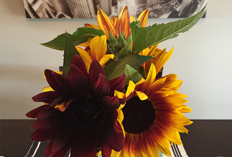 red and yellow sunflowers