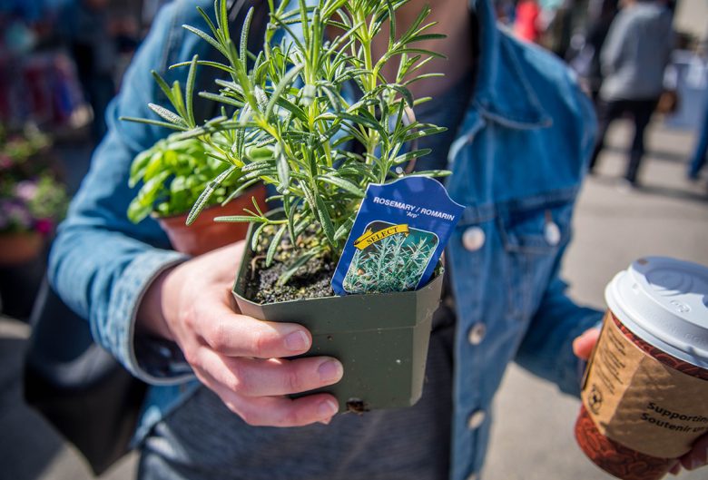 Woman holding rosemary and coffee