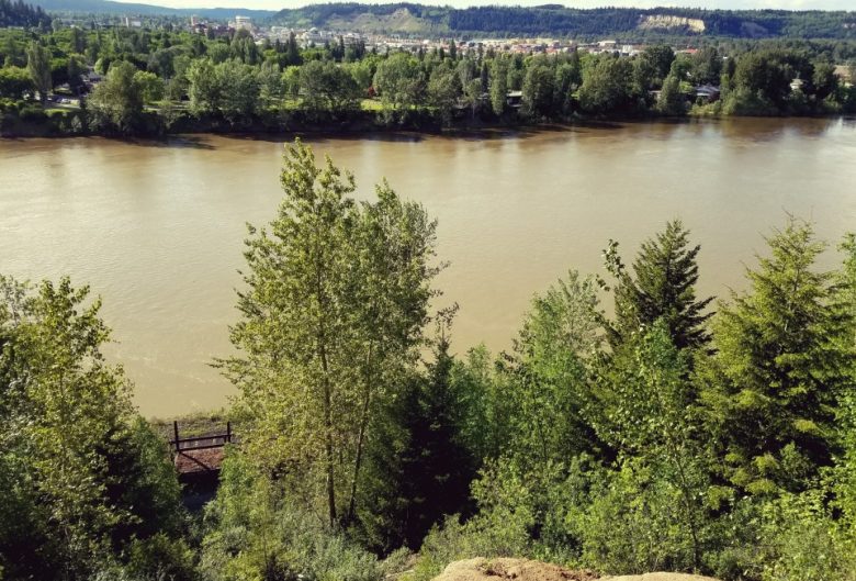 river and trees