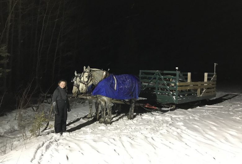 girl and horse drawn sleigh