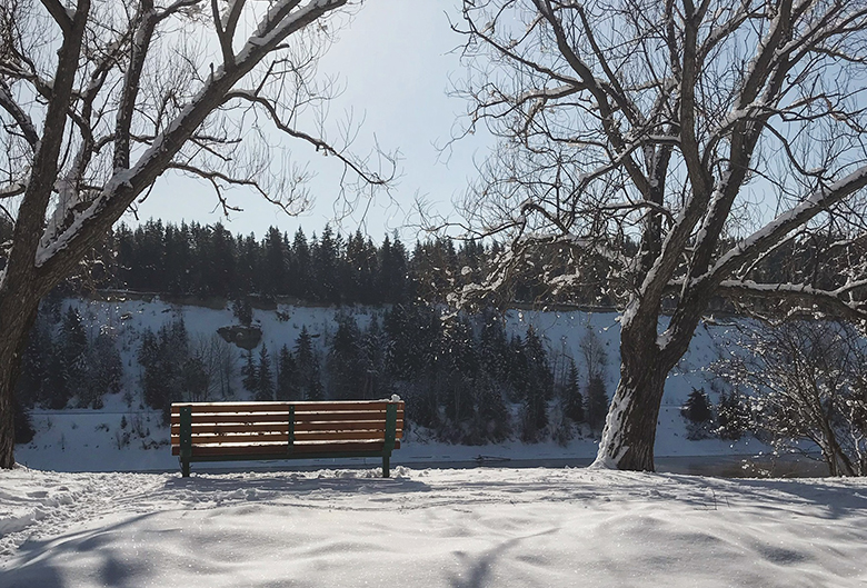 bench on snow