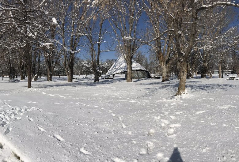 snow covered park