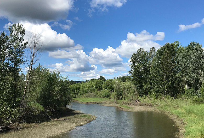 wetland