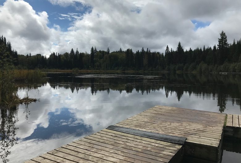 fishing dock and lake