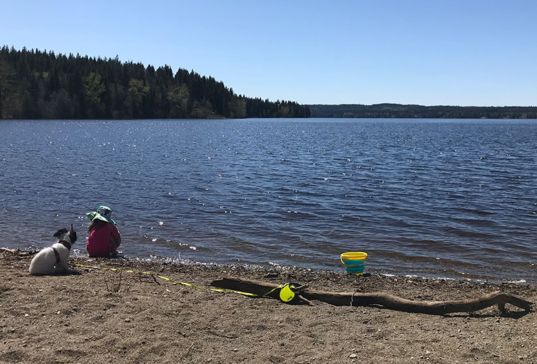 Girl and dog sitting on beach at a lake.