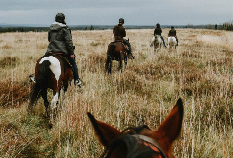 People riding trails on horses.