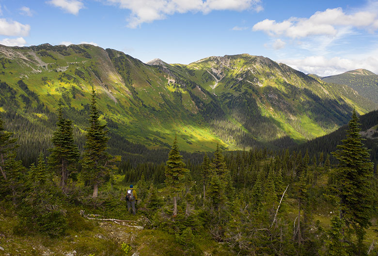 Hiker at the top of Torphy Trail.