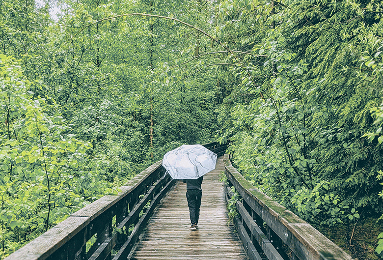 Person walking on boardwalk in forest.