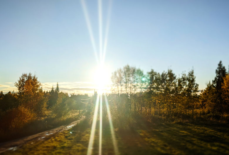 Sunrise on acreage