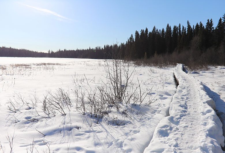 Ferguson Lake in the winter