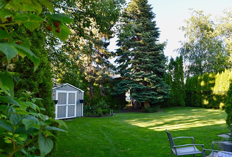 Backyard in Prince George